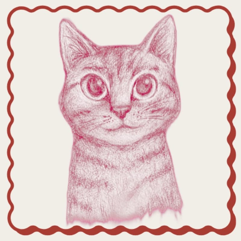 Petcasso Portraits icon — a red sketch-cat in a scalloped frame