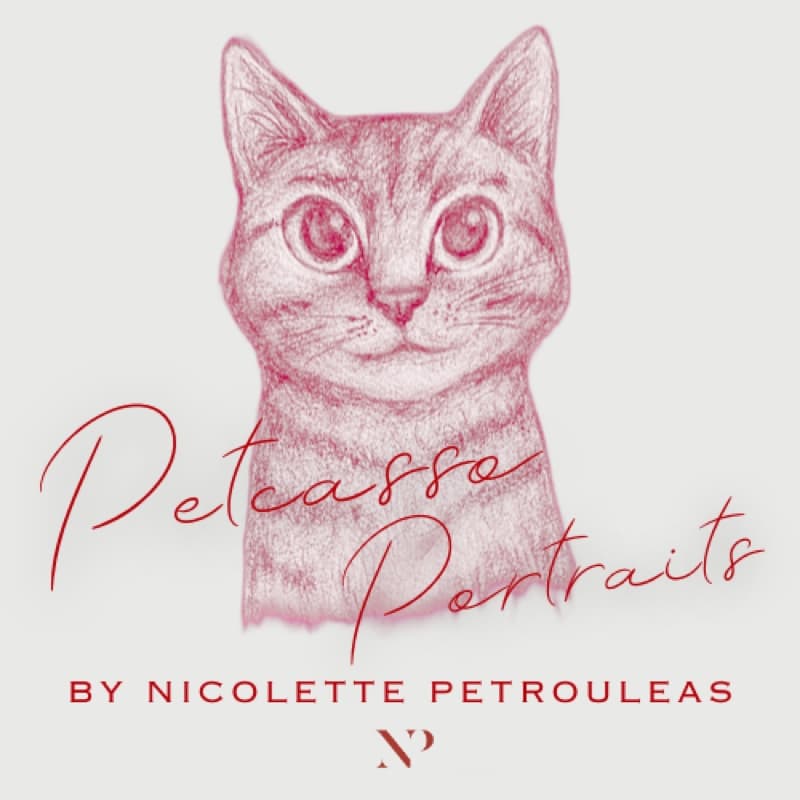 Petcasso Portraits script wordmark over a red sketch of a cat