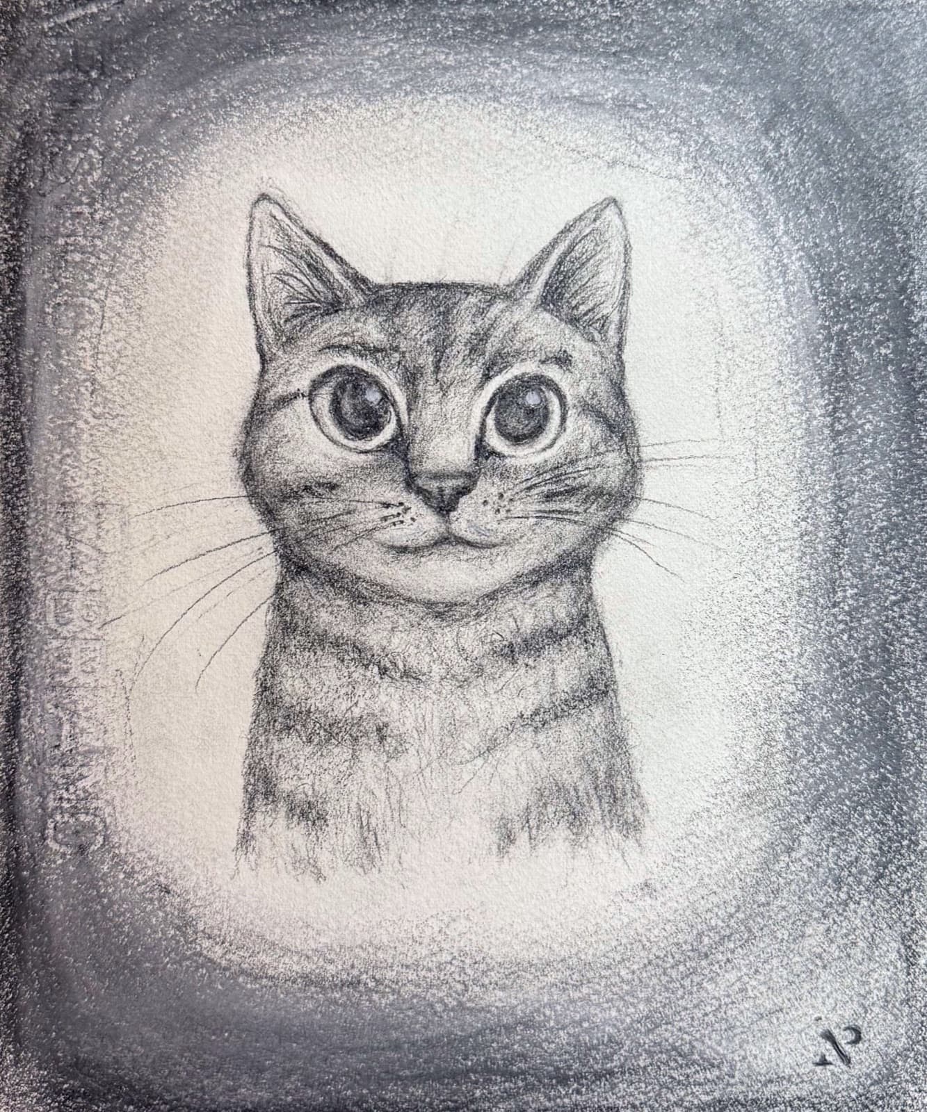 Custom pencil portrait of a wide-eyed tabby cat