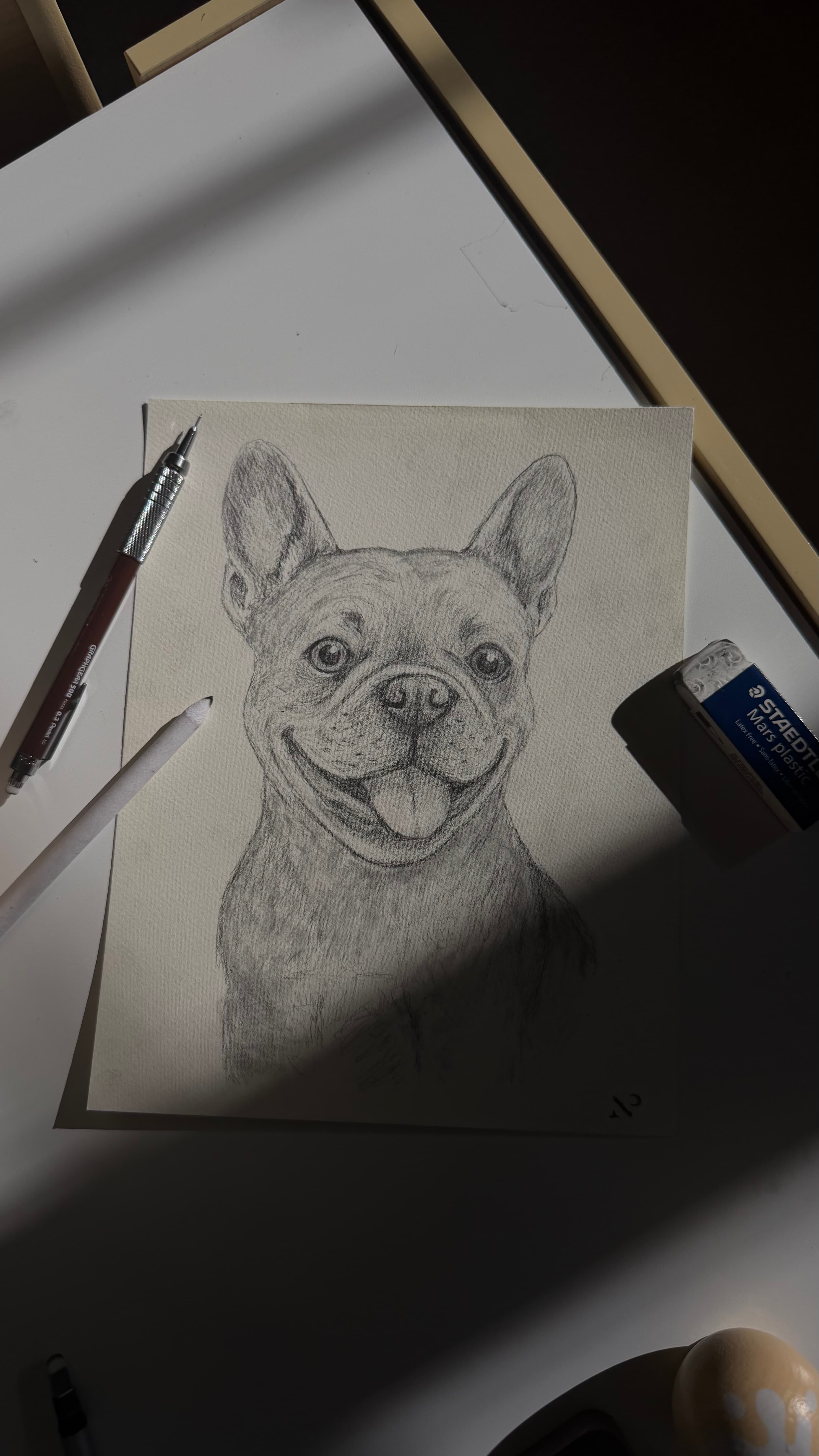 Petcasso Portraits brand reel