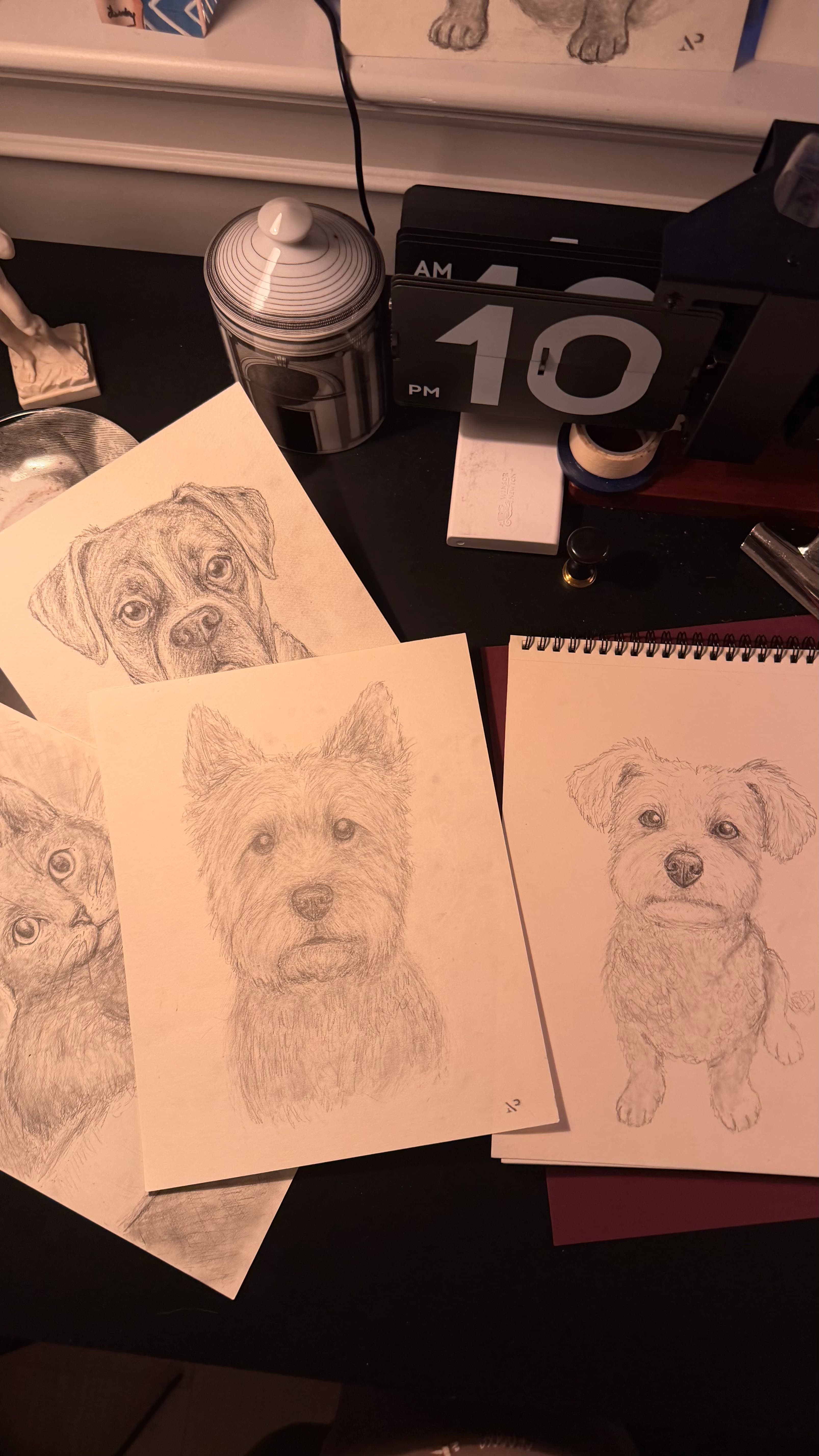 Petcasso pencil pet portraits laid out across the studio desk
