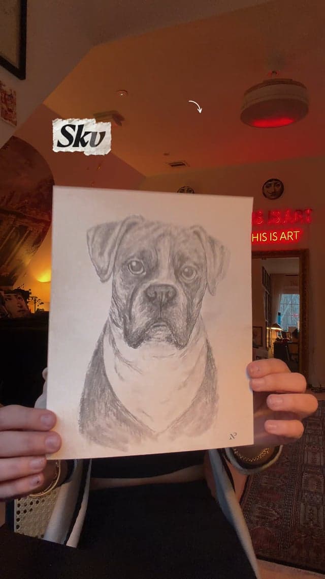 Petcasso Portraits