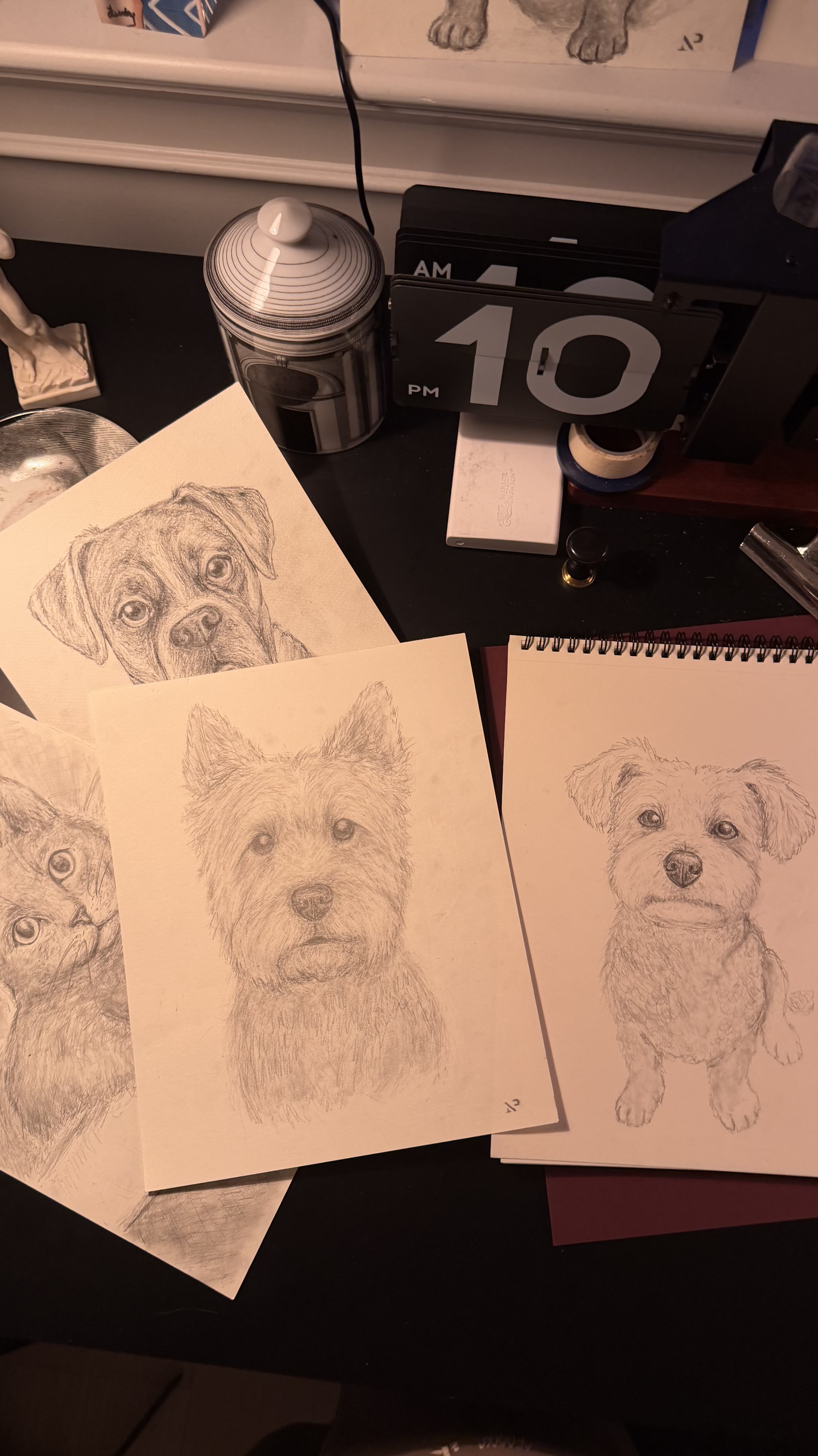 Petcasso pencil pet portraits laid out across the studio desk